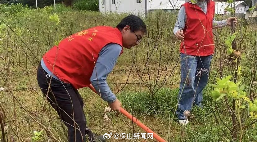 县交通运输局：“荧光绿”变身“志愿红” 为农村公路染上绿色