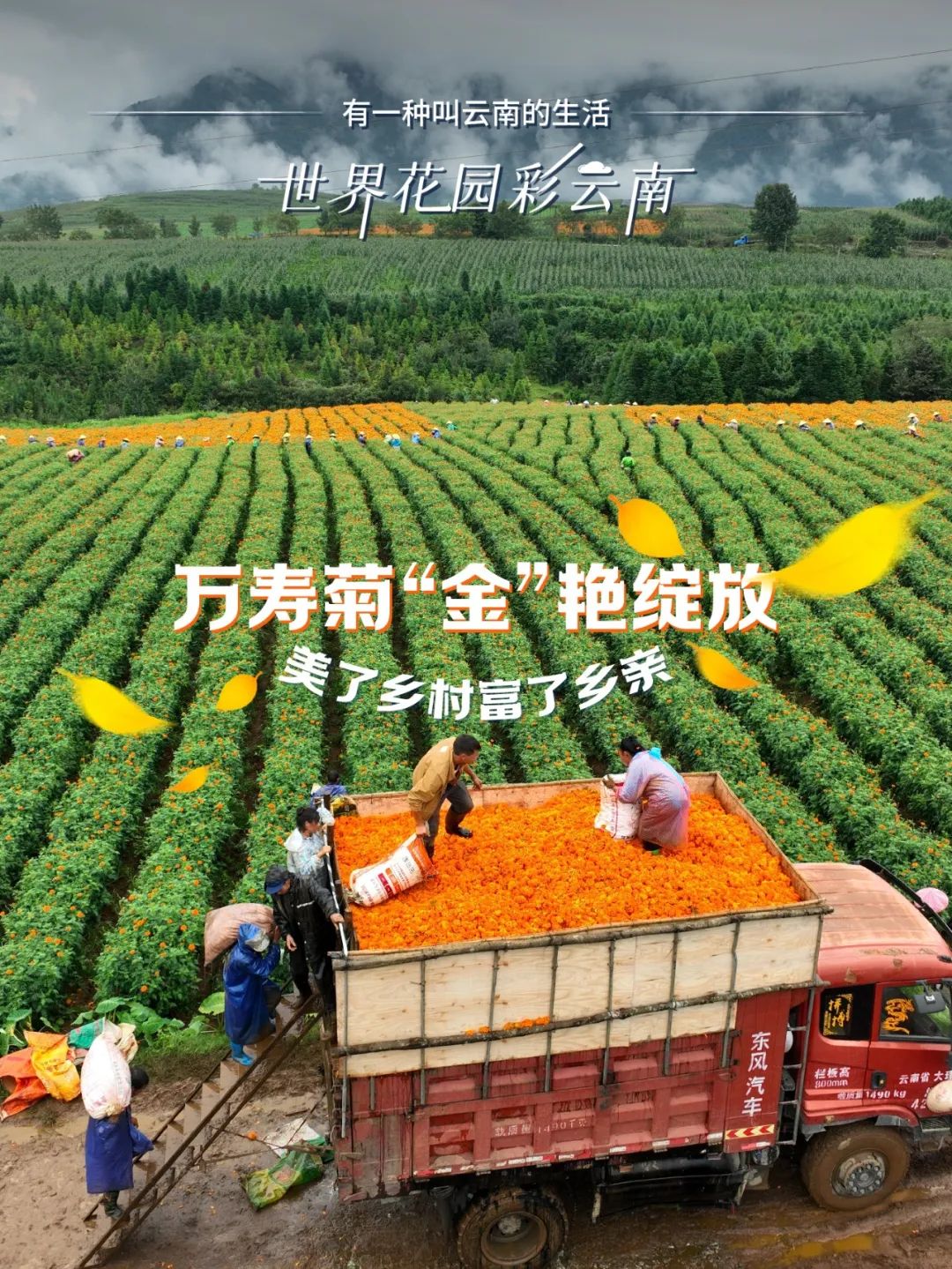 云南省文化和旅游厅