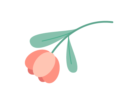 西双版纳望天树景区