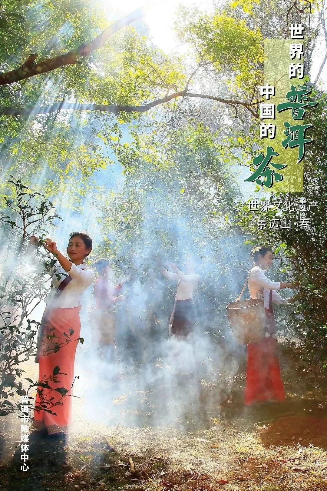 云南网