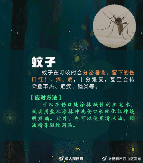 昆明市西山区发布