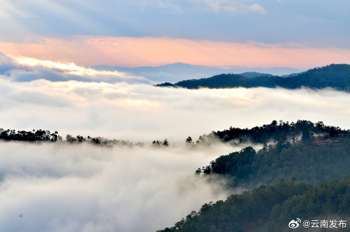 云南发布