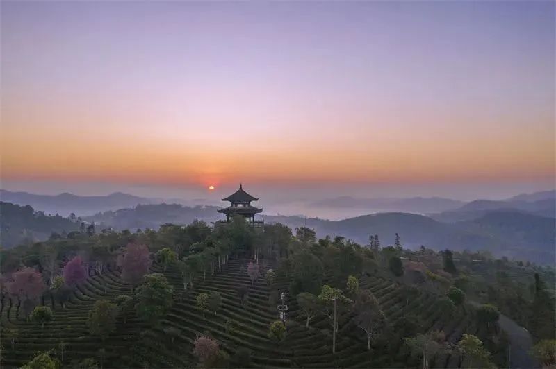 云南省文化和旅游厅