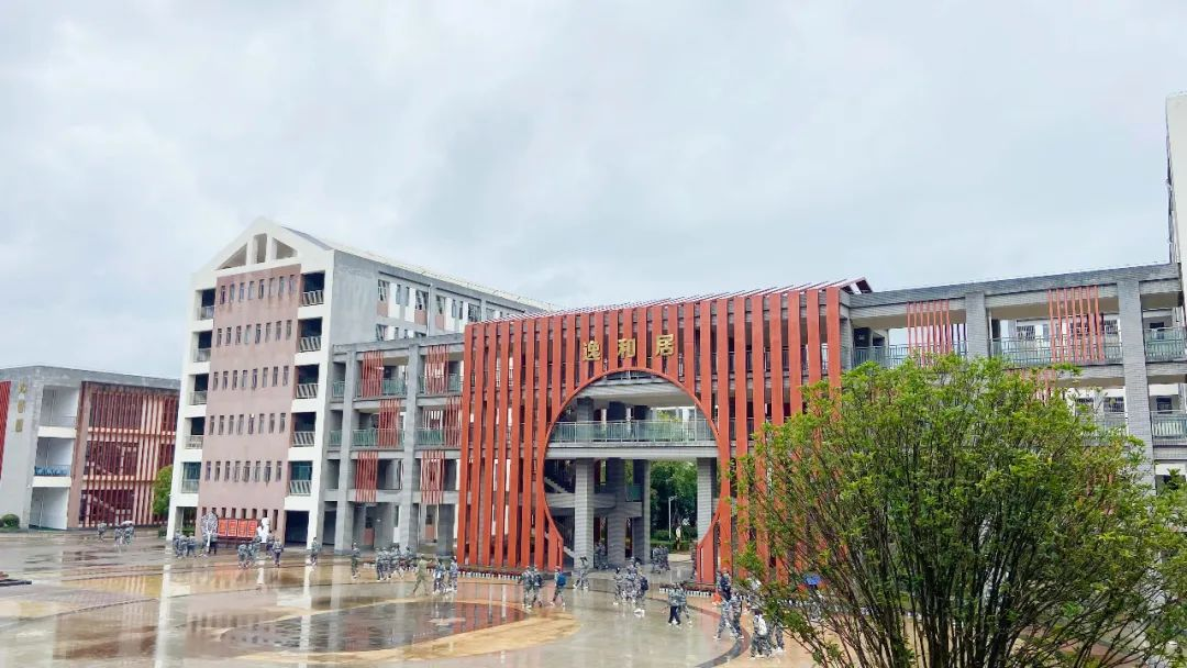 盘龙教育