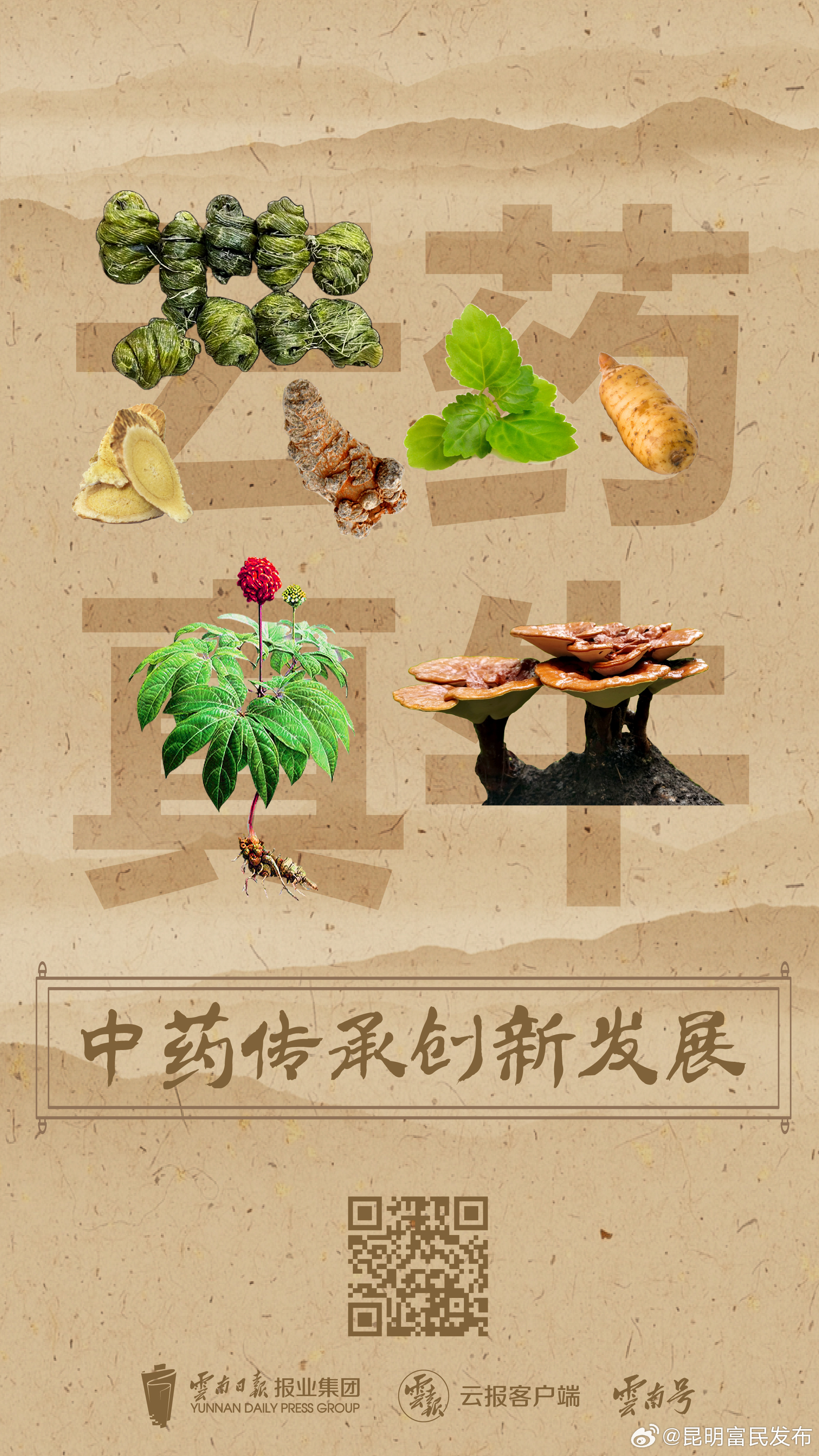 聚焦云南中医药丨云药，底气十足！