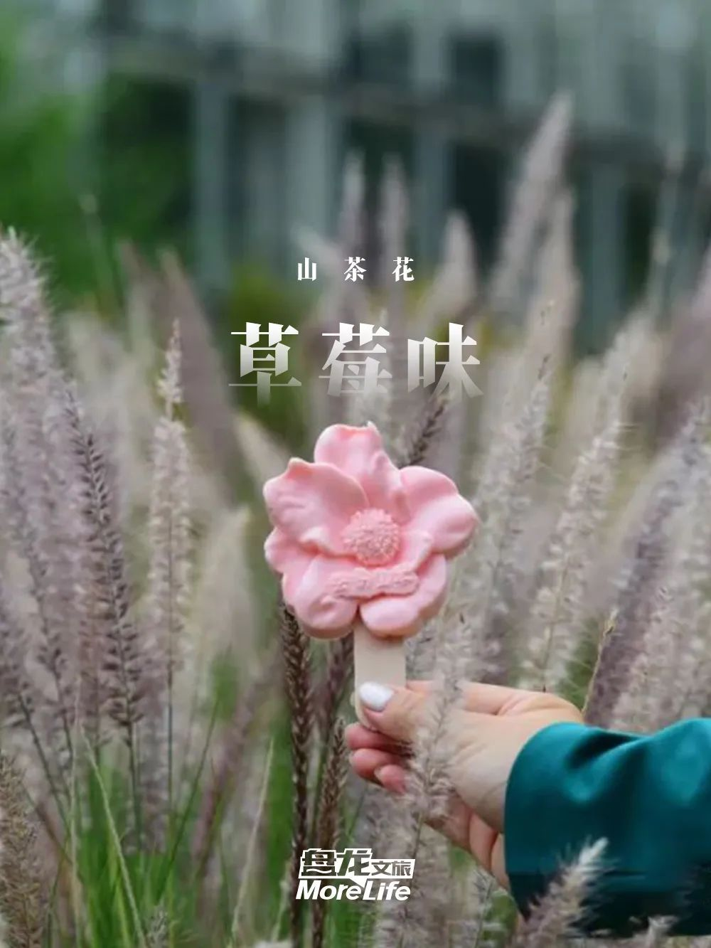 盘龙统战