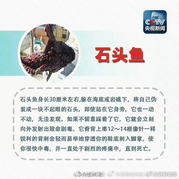 昆明经济技术开发区管委会