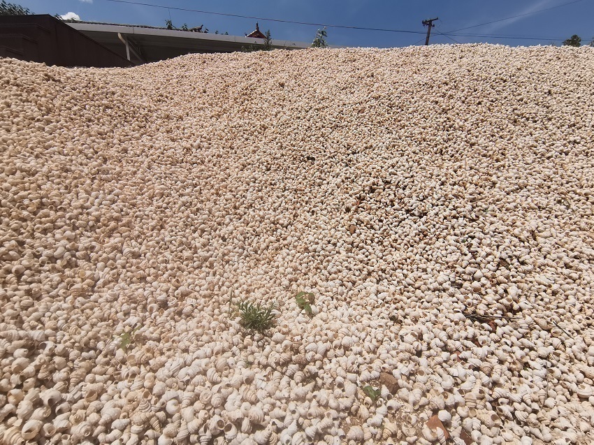 云南省文化和旅游厅