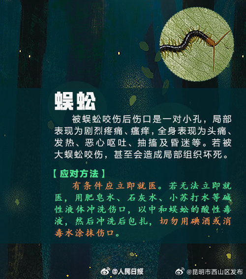 昆明市西山区发布