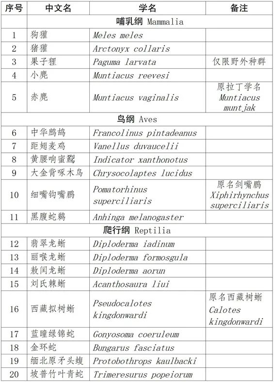 云南省人民政府网