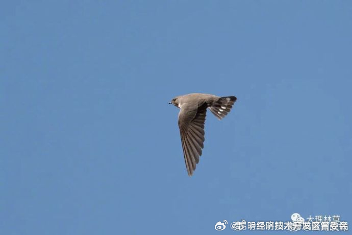 昆明经济技术开发区管委会