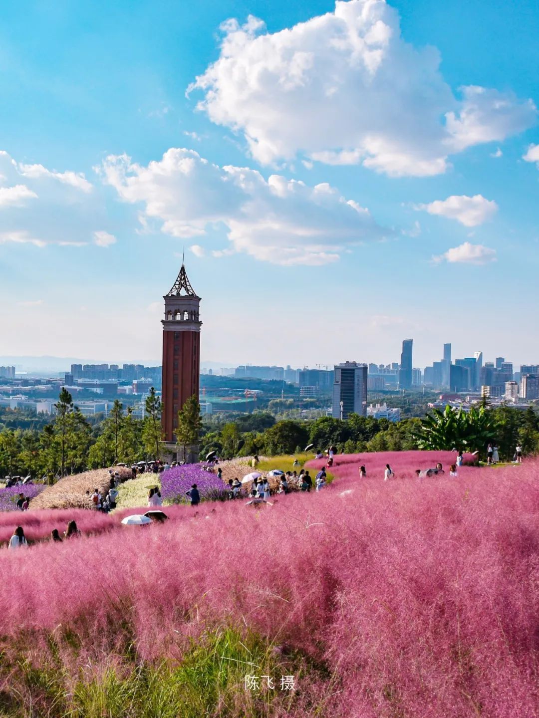 云南省文化和旅游厅