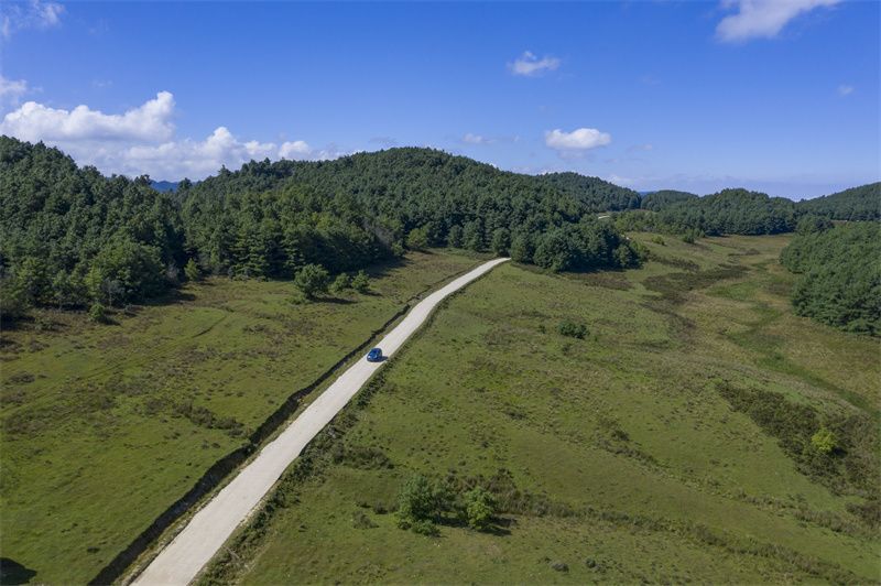 云南省文化和旅游厅