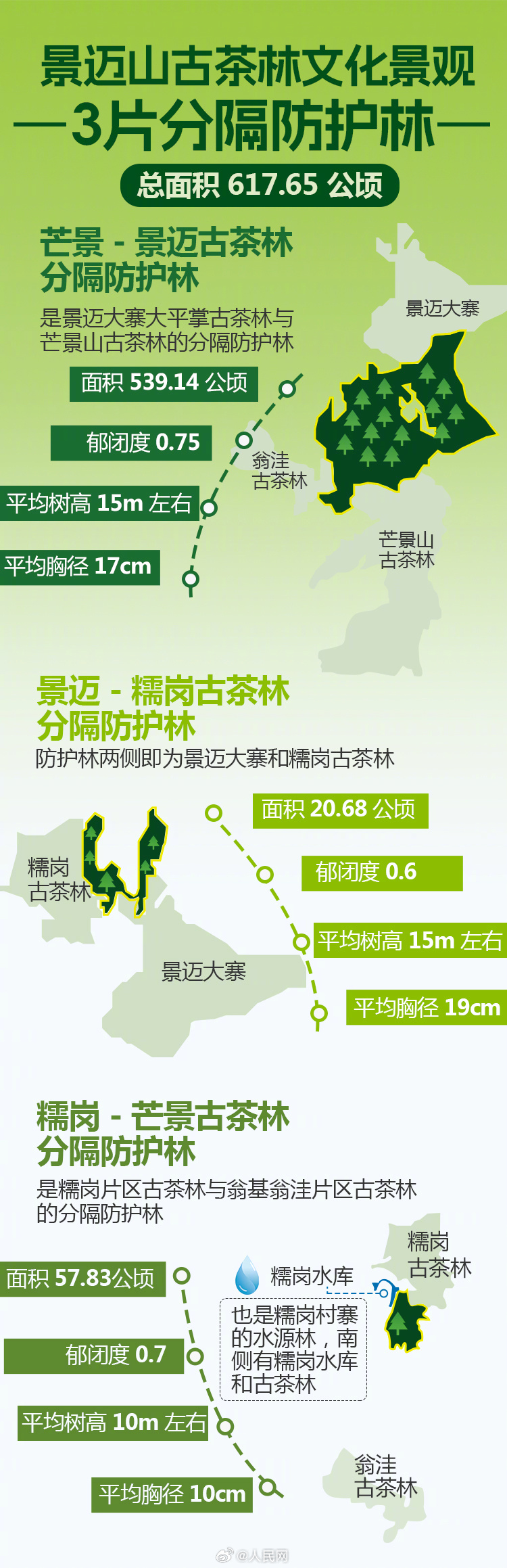 人民网