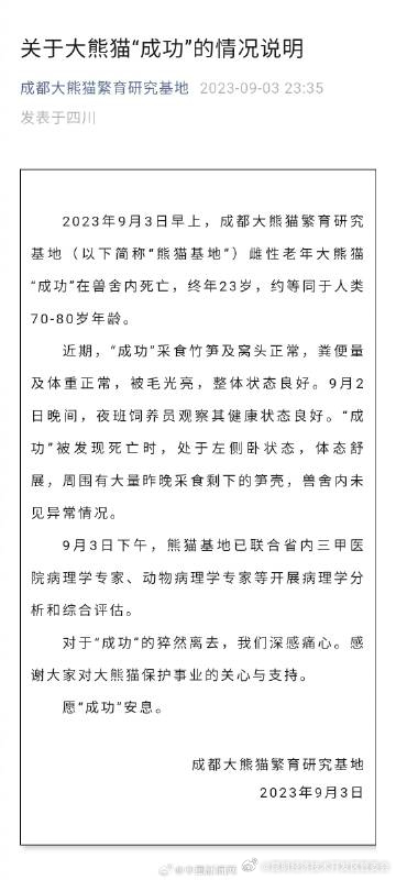 大熊猫“成功”死亡 曾生育花花、和叶