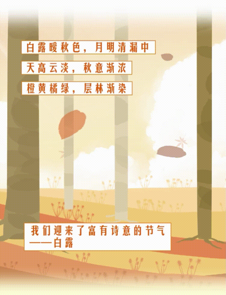 云南省人民政府网