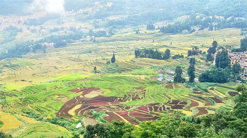 红河文旅