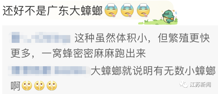 昆明信息港/cnkmxxg