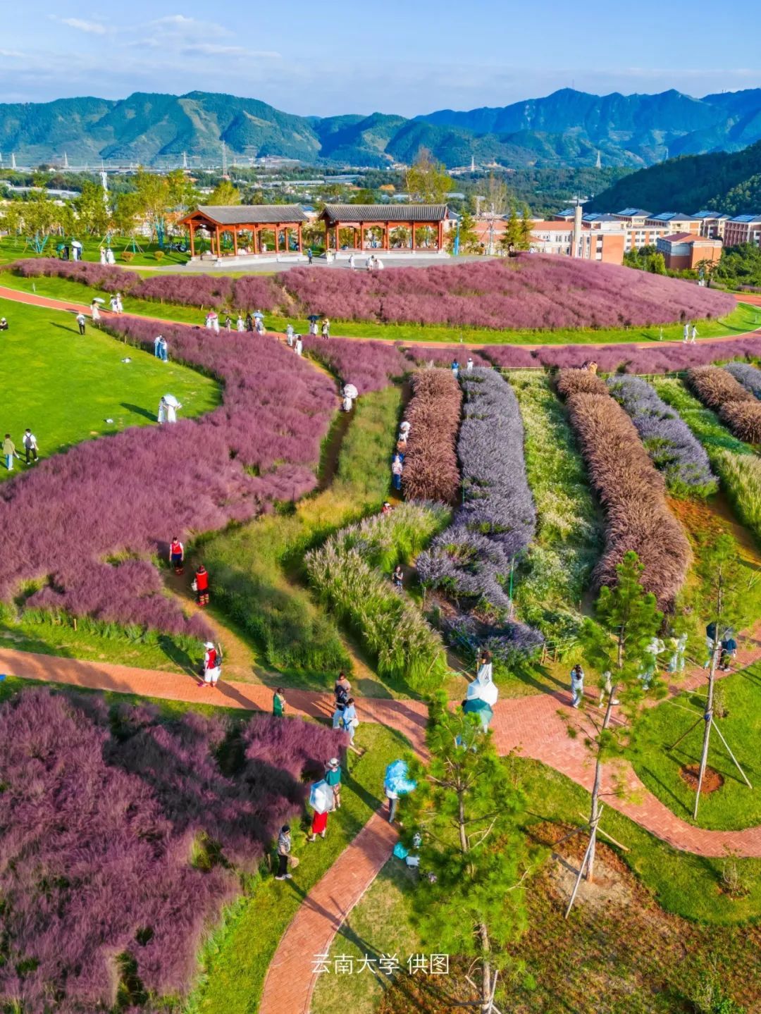云南省文化和旅游厅