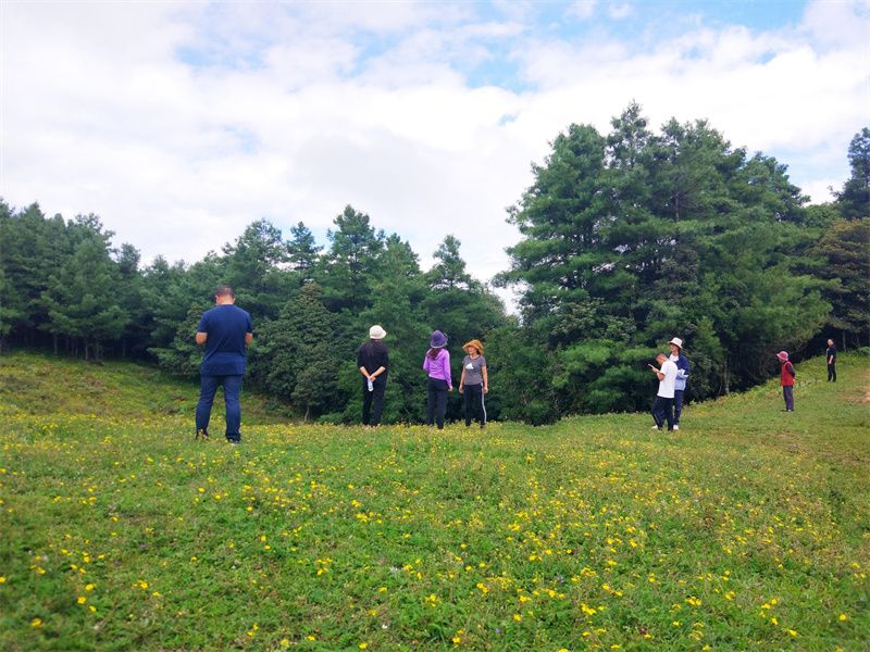 云南省文化和旅游厅