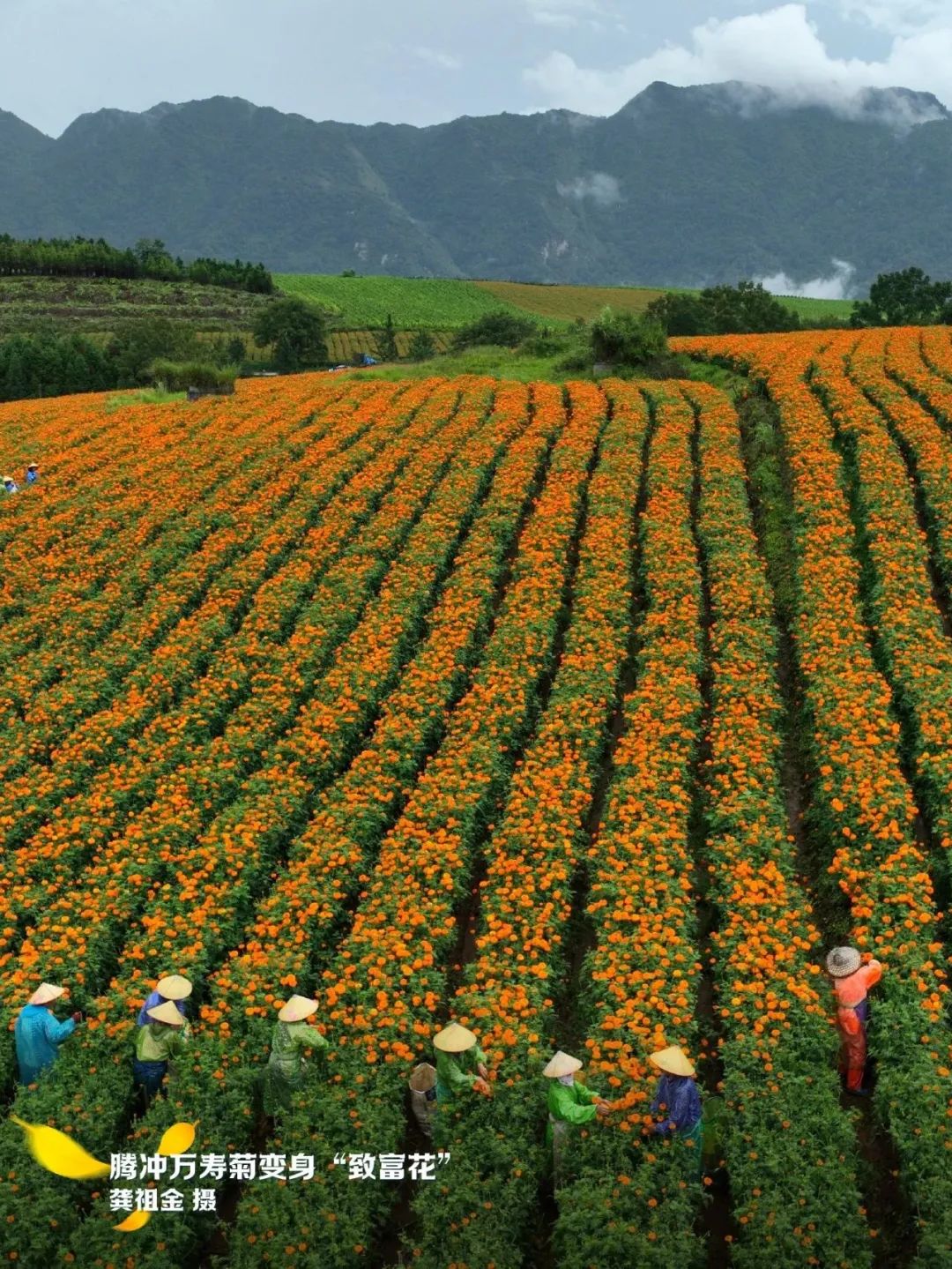 云南省文化和旅游厅