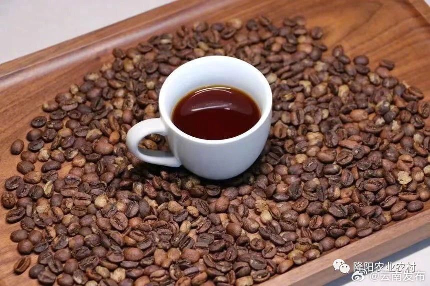 喜讯！保山小粒咖啡荣获“全国名特优新农产品”称号