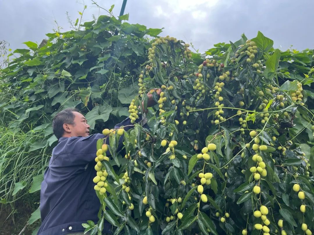 晋宁诗意的栖居地