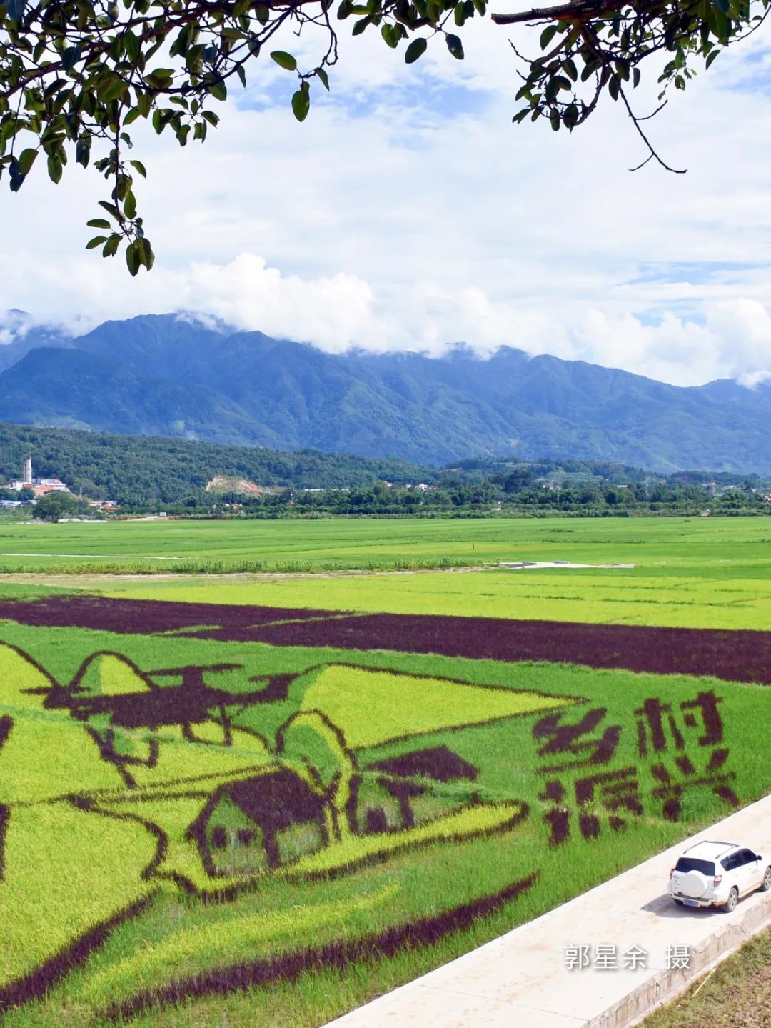 云南省文化和旅游厅