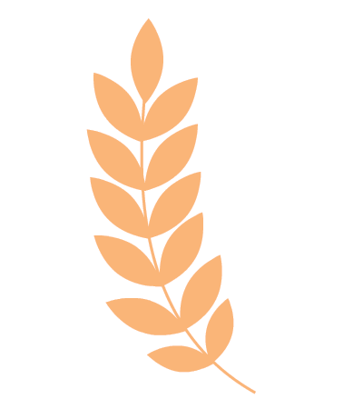 掌上春城微信