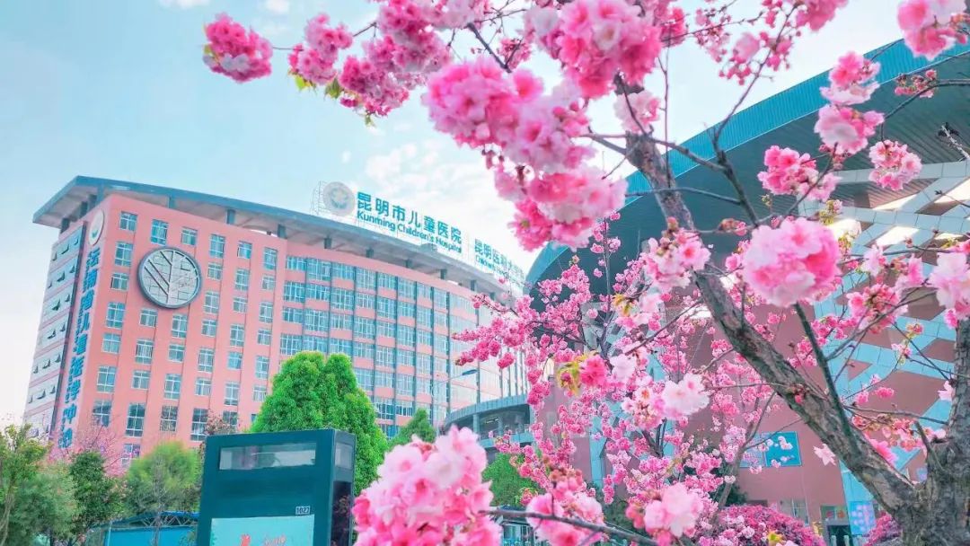 昆明市儿童医院高层次人才引进计划