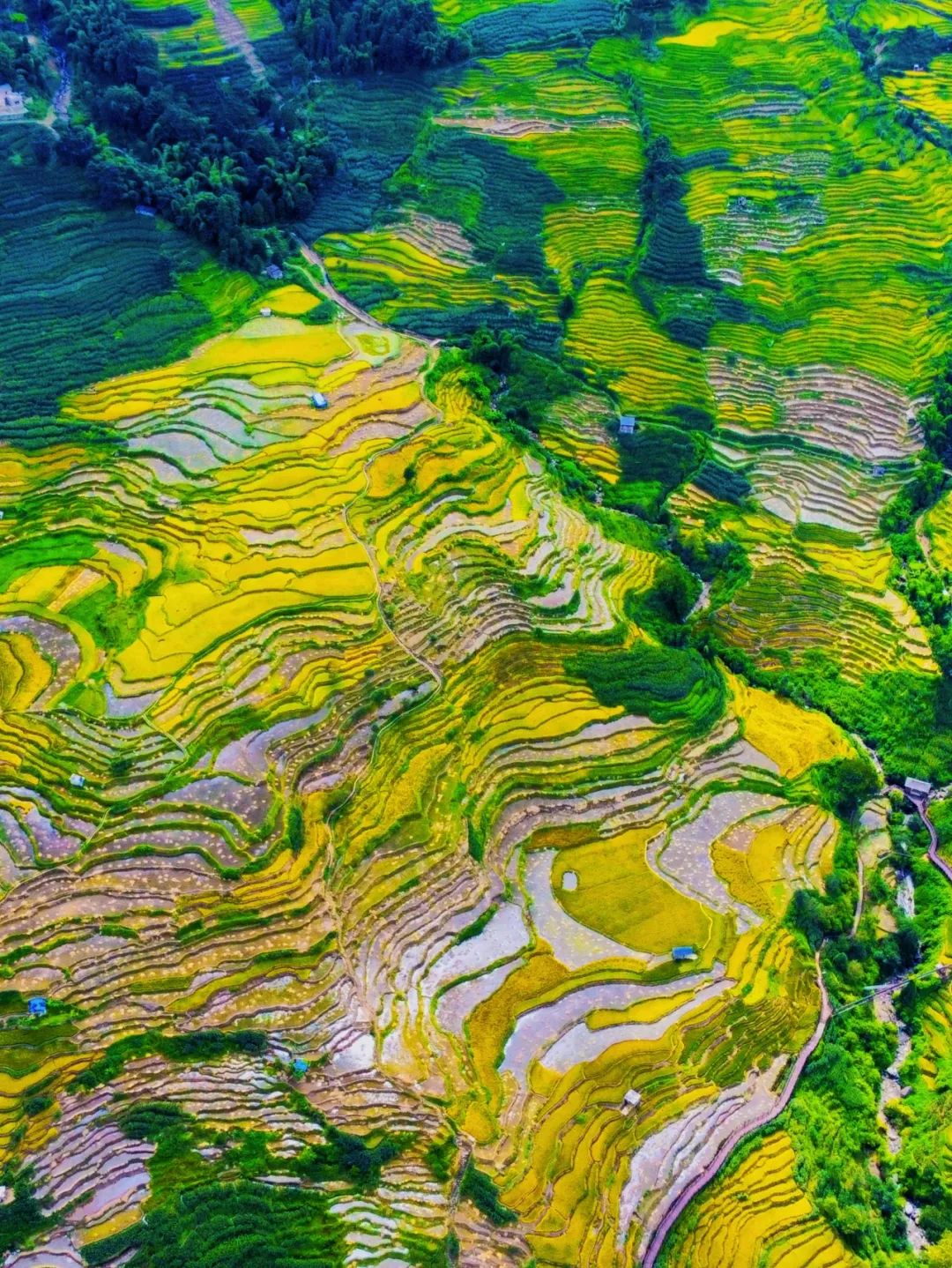 红河文旅