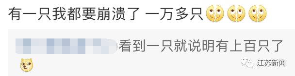 昆明信息港/cnkmxxg