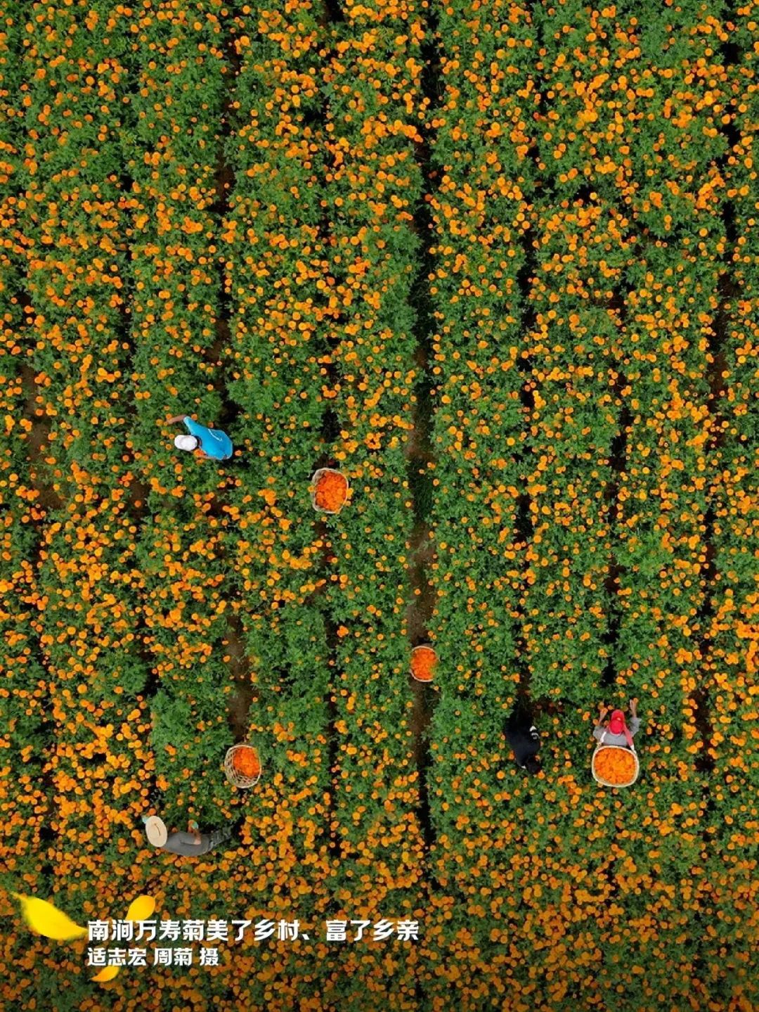 云南省文化和旅游厅