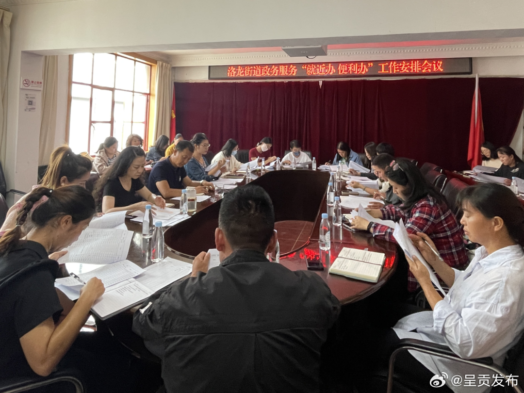 洛龙街道召开政务服务“就近办 便利办”工作安排会