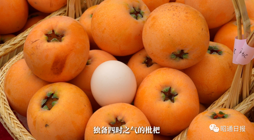 昭通日报