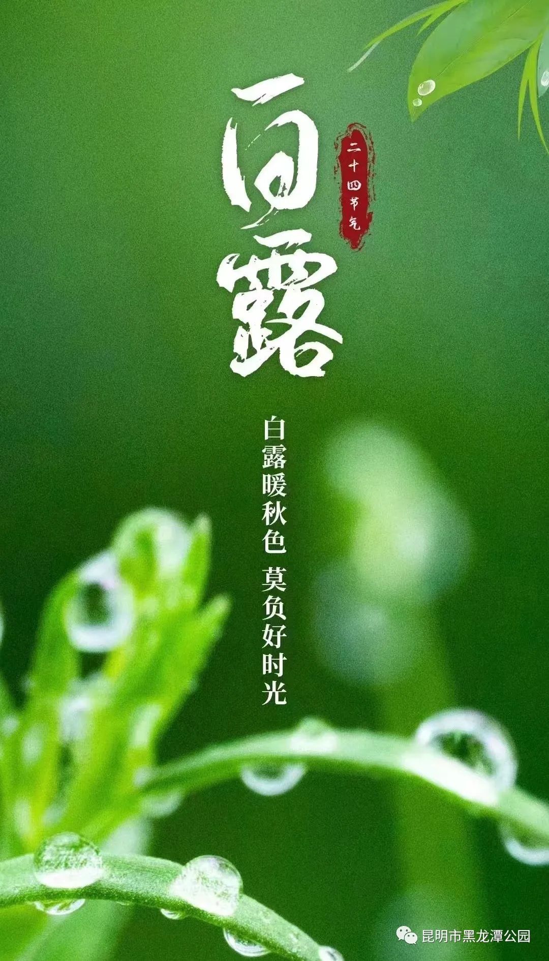 昆明市黑龙潭公园