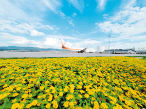 云南机场暑运旅客吞吐量达1283万人次