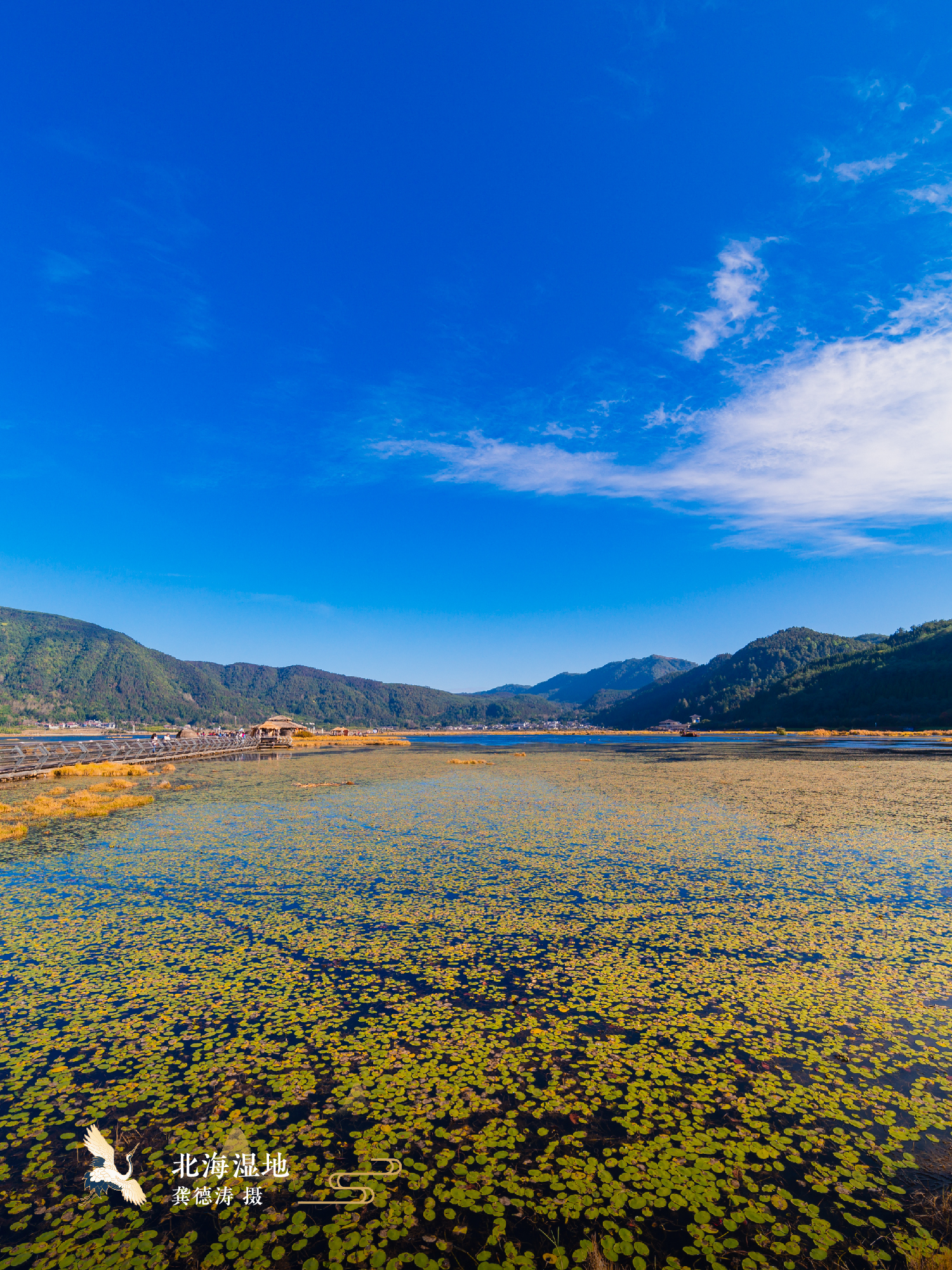 云南省文化和旅游厅