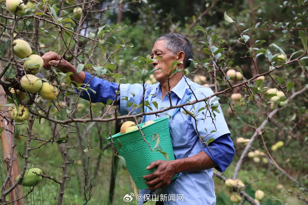 保山新闻网