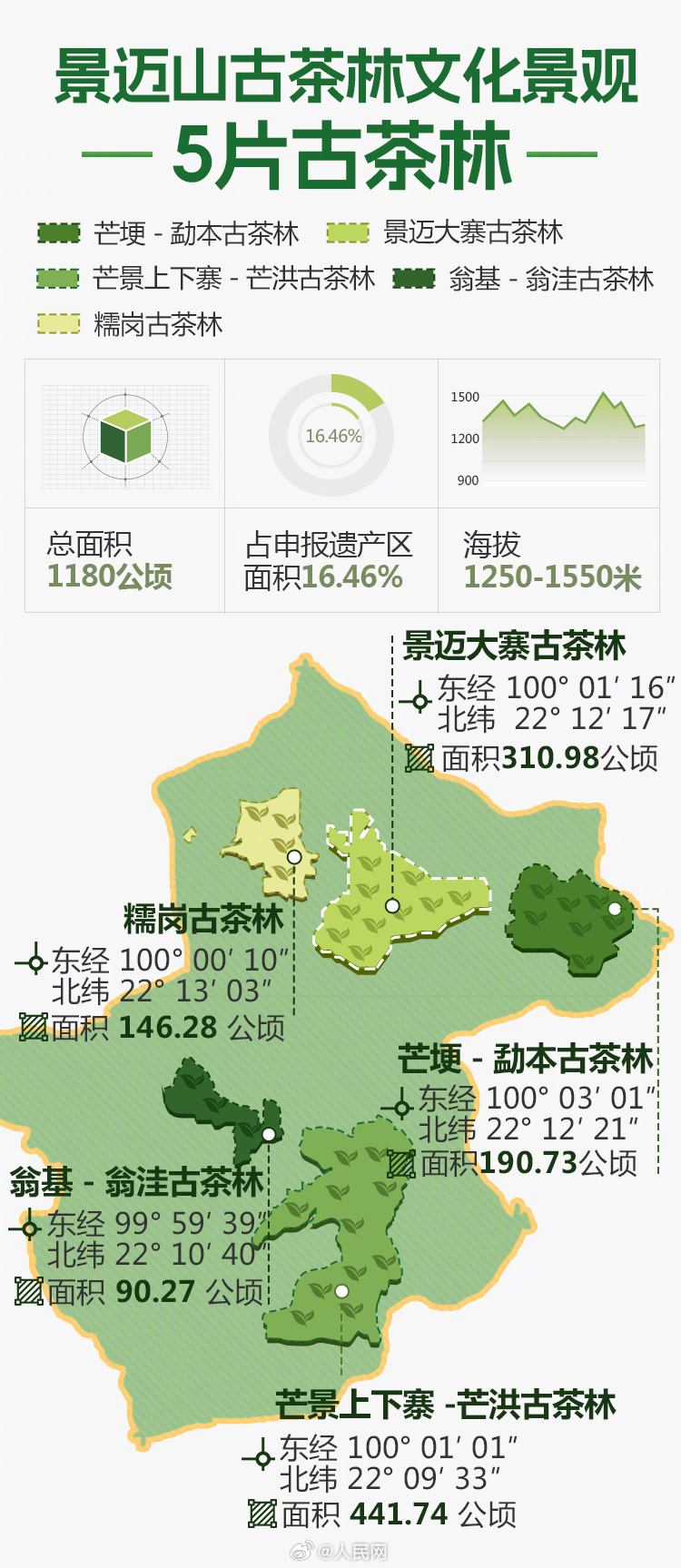 人民网