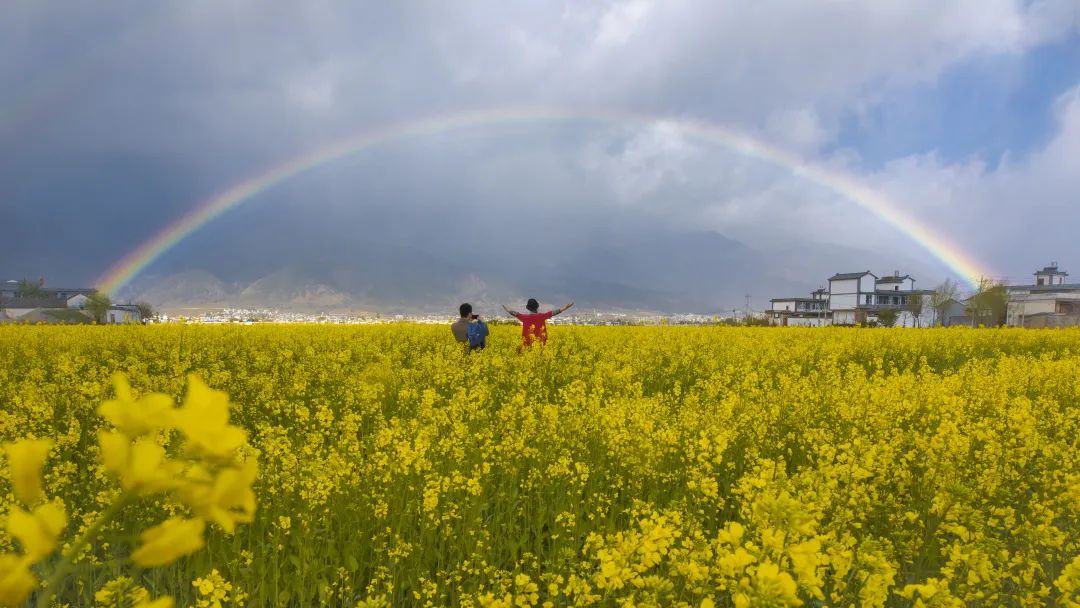 云南省文化和旅游厅