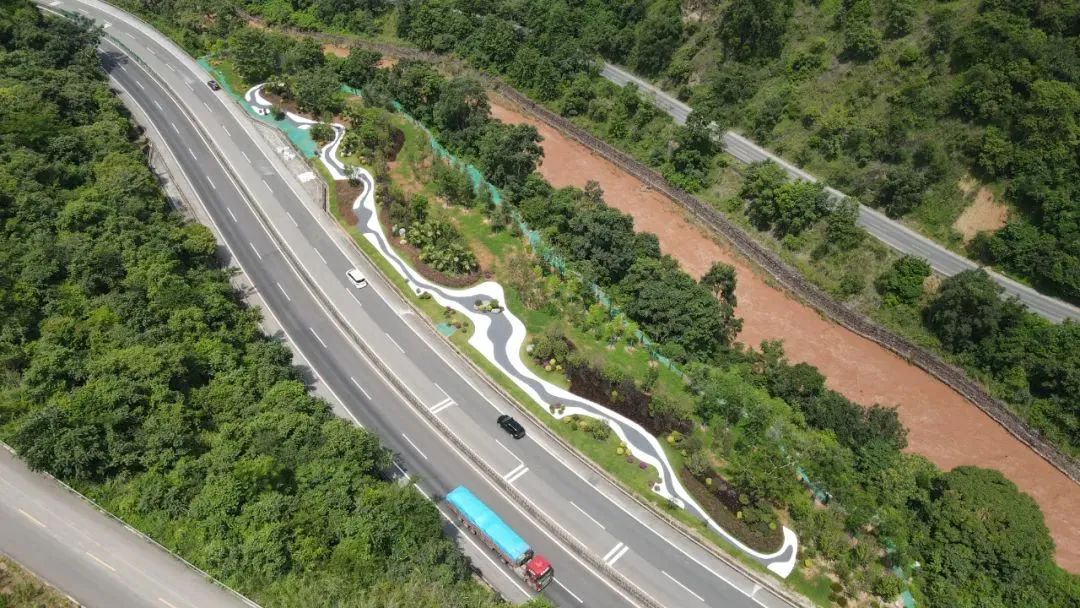 大理至保山高速公路绿美公路建设项目绿化工程施工结束