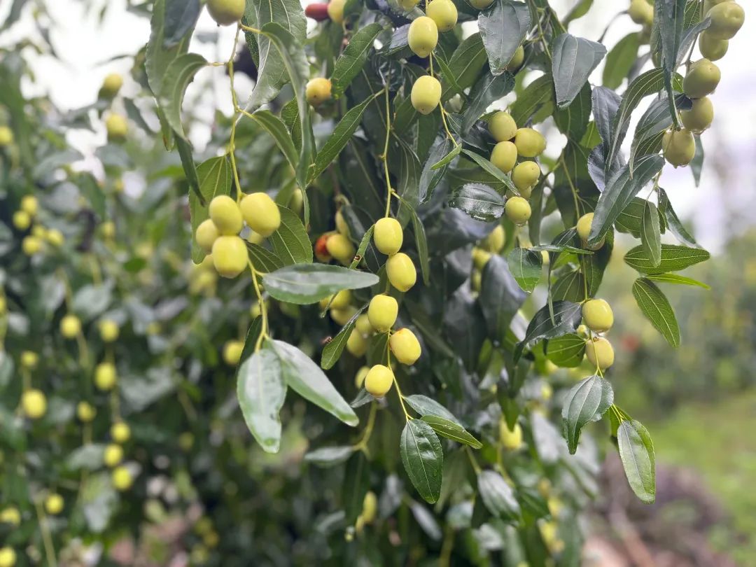 晋宁诗意的栖居地