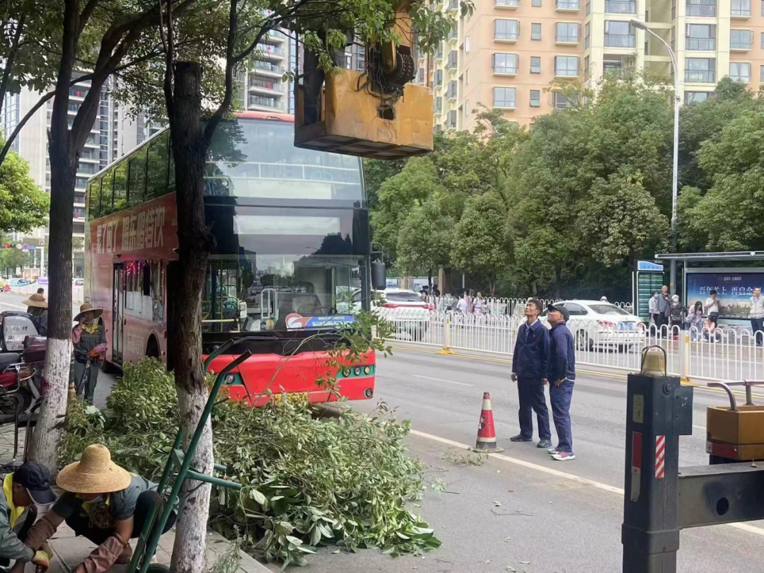 昆明信息港/cnkmxxg