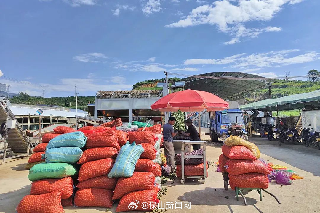 保山新闻网