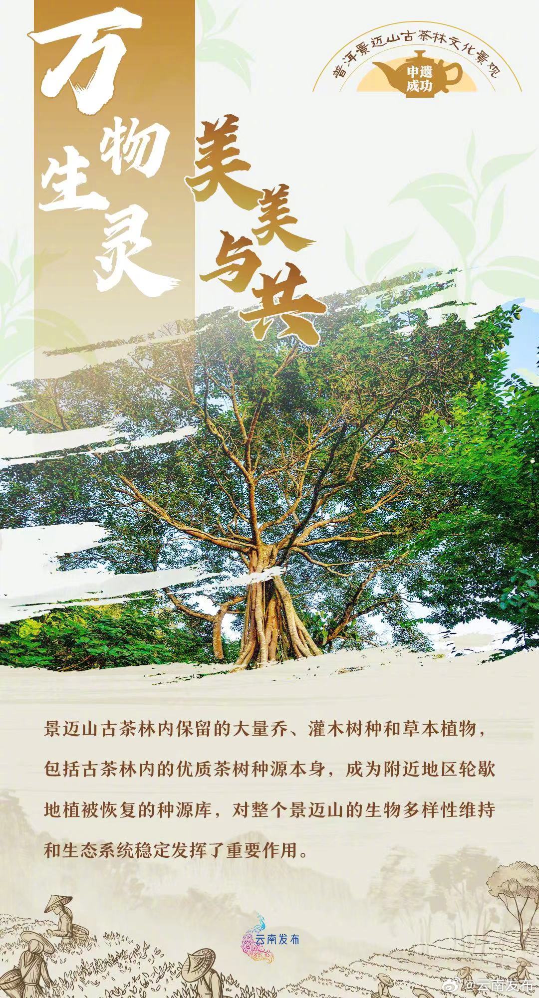 云南发布