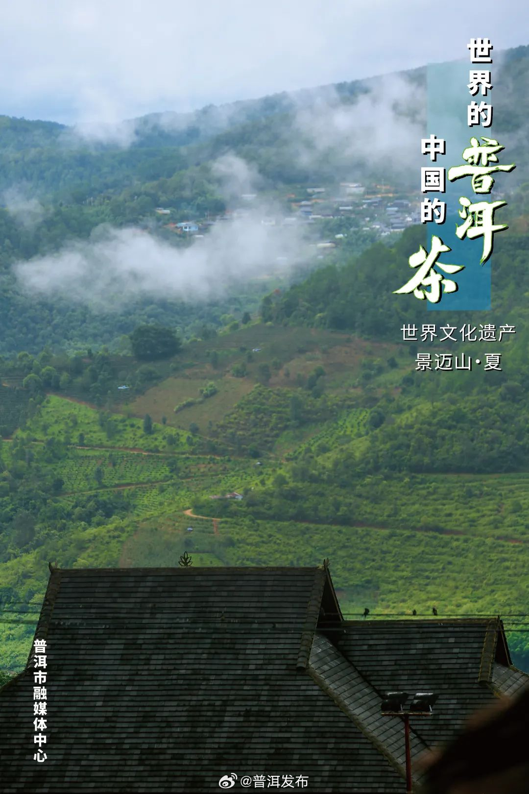 普洱发布