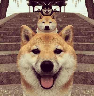 蜀黍每日分享——1个有助省钱的建议：逛街时别玩手机