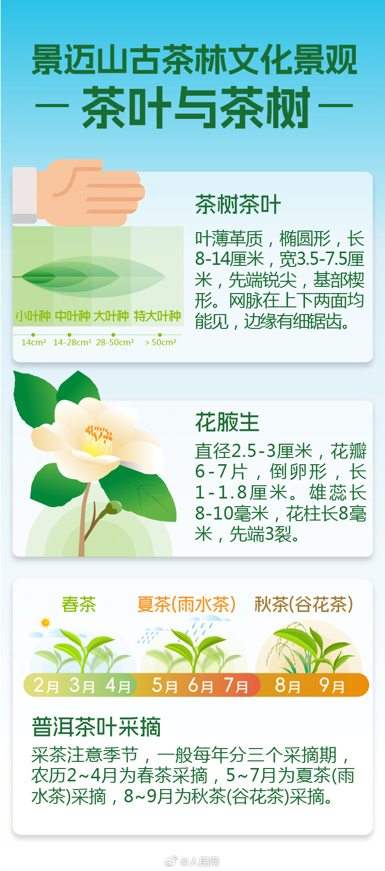 人民网