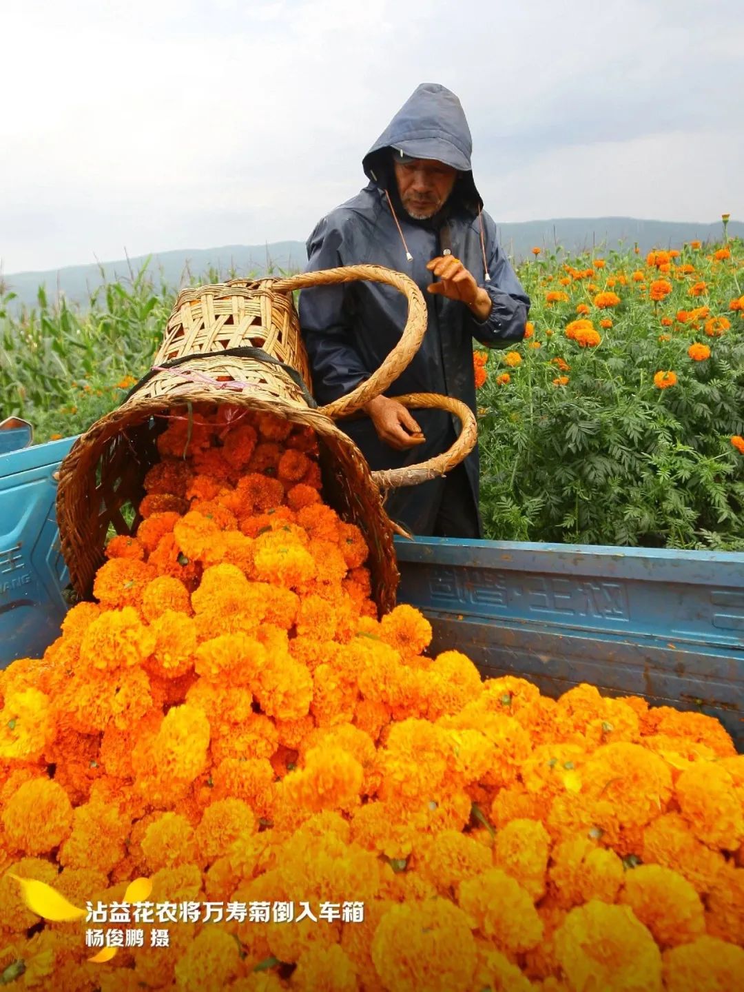 云南省文化和旅游厅